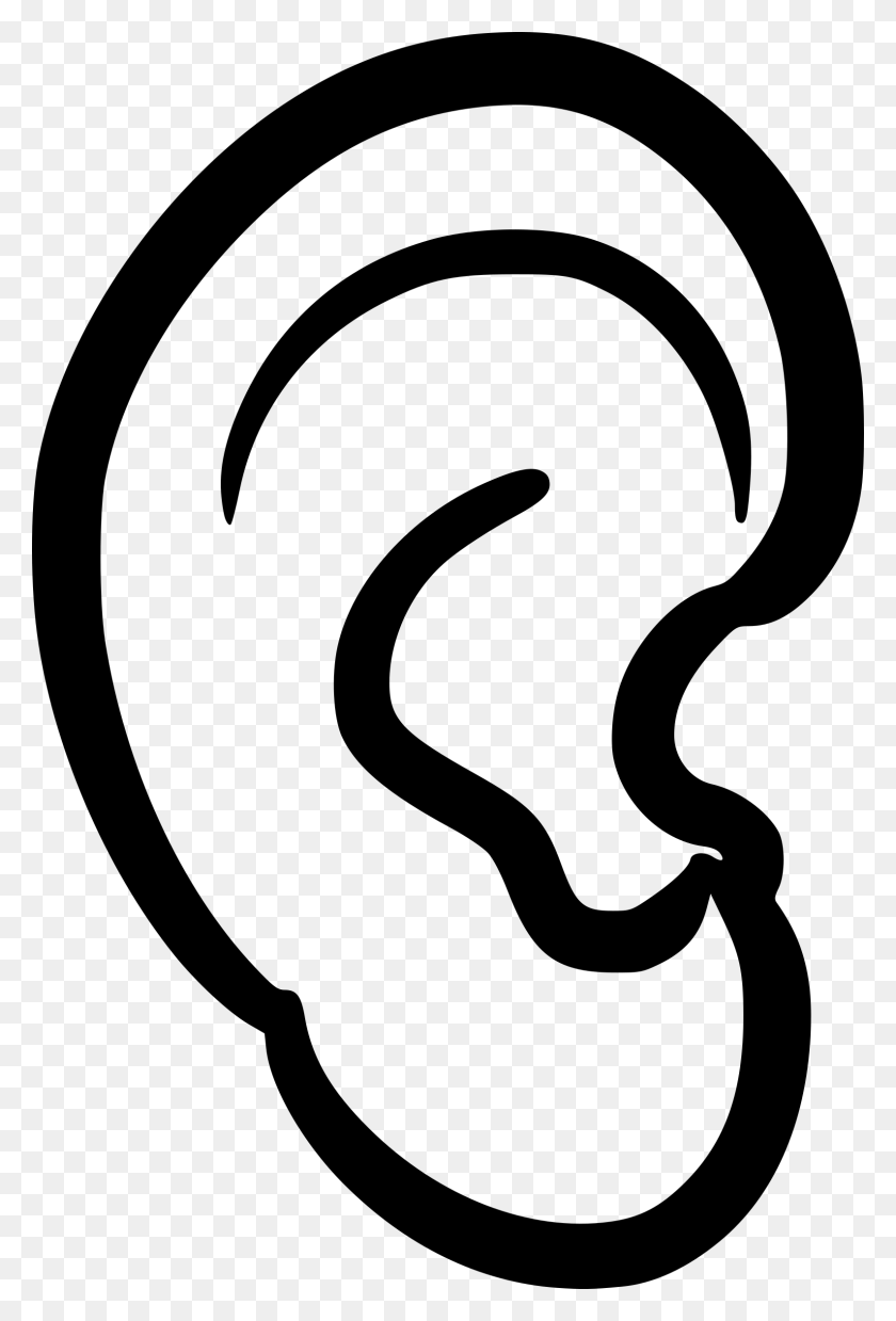 1587x2400 Ear Anatomy Clip Art - Canal Clipart