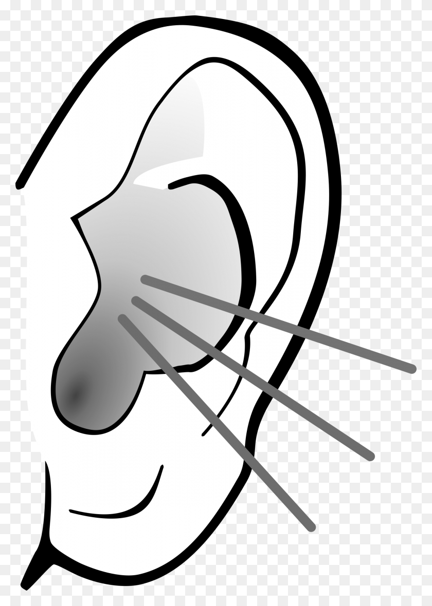 1671x2400 Ear Clip Art - Elephant Ears Clipart