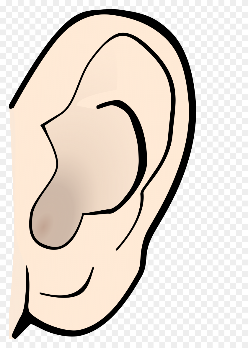 1671x2400 Ear Clip Art Free - Big Top Clipart