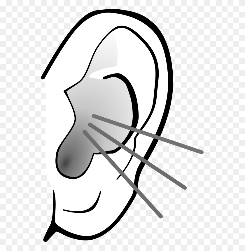 557x800 Ear Clip Art Free Clipart Images - Ear Clipart Black And White