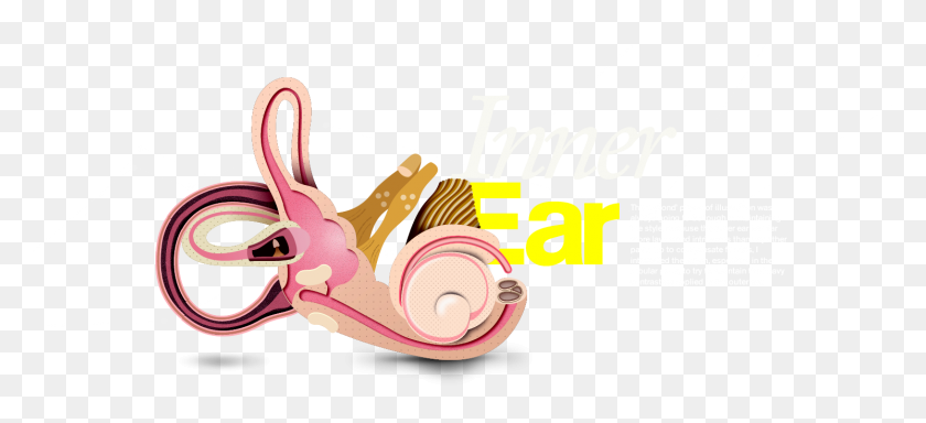 1490x620 Ear Clipart Inner Ear - Hearing Loss Clipart