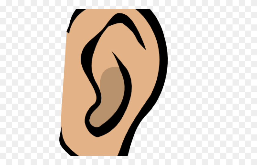 640x480 Ear Clipart Sense Hearing Free Clip Art Stock Illustrations - Honey Badger Clipart