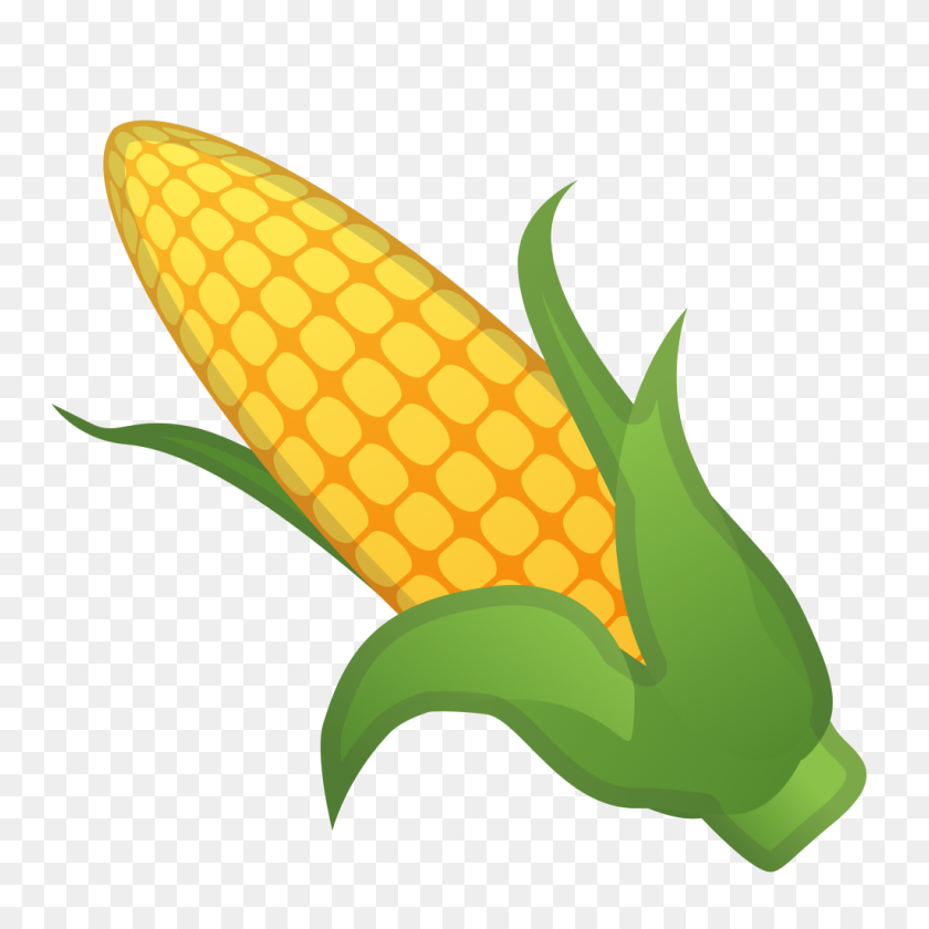 1024x1024 Значок Кукурузного Уха Ното Emoji Набор Иконок Еда Напиток Google - Кукуруза В Початках Png