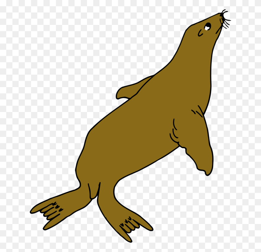 648x750 Earless Seal Sea Lion Walrus Computer Icons Drawing Free - Sea Lion Clipart