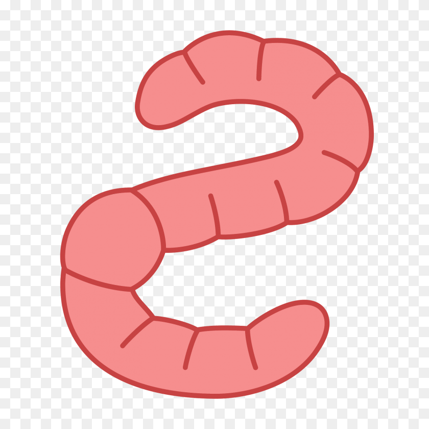 1600x1600 Earth Worm Icon - Worm PNG