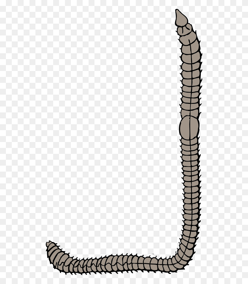 530x900 Earth Worm Png Clip Arts For Web - Worm Clipart