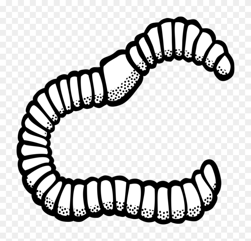 782x750 Earthworm Black And White Drawing - Sharing Clipart Black And White