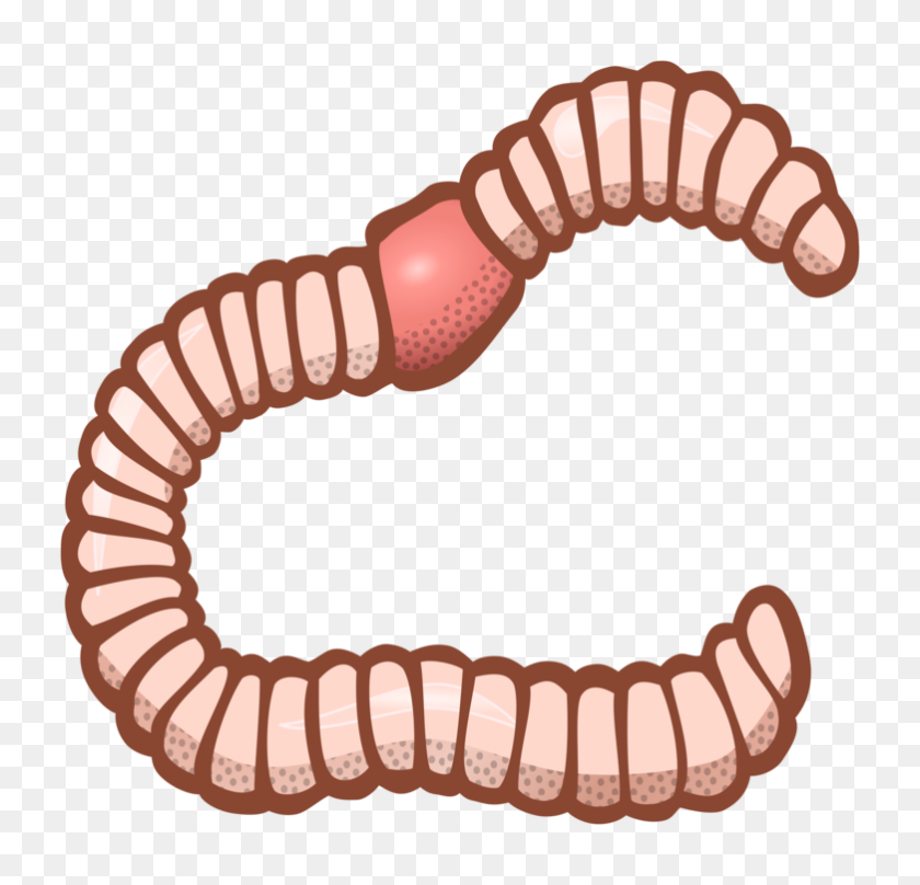 782x750 Earthworm Computer Icons Encapsulated Postscript Download Free - Centipede Clipart