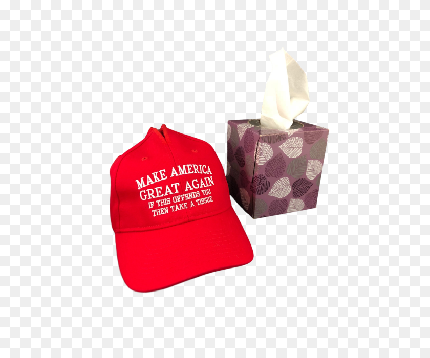 480x640 Easily Offended Tissue Hat - Make America Great Again Hat PNG