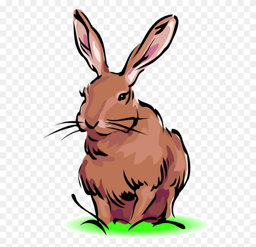552x750 Easter Bunny Clip Art Rabbit Animals Clip Art Downloadclipart Org - Swamp Clipart