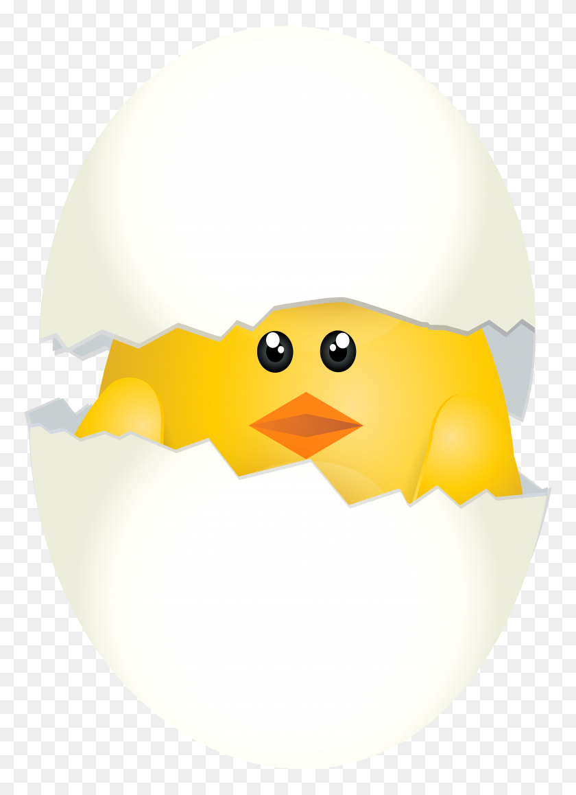 Цыпленок из яйца клипарт