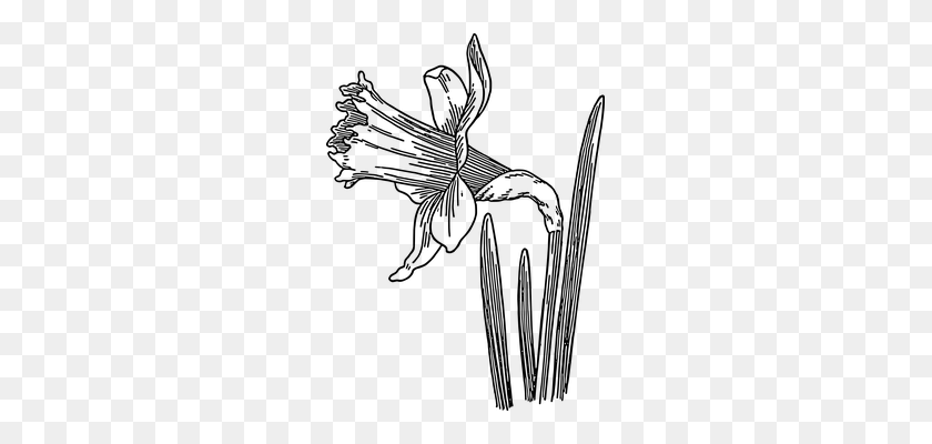 251x340 Пасхальный Цветочный Клипарт Цветок Нарцисса - Пасхальный Трава Клипарт