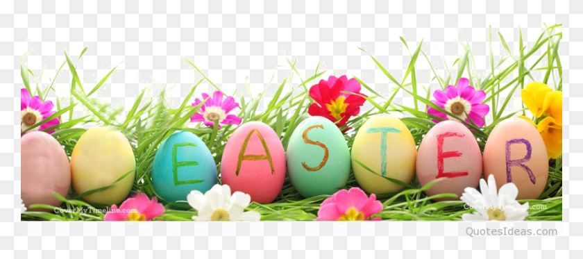 851x342 Easter Grass Eggs Png High Quality Image - Grass PNG Transparent