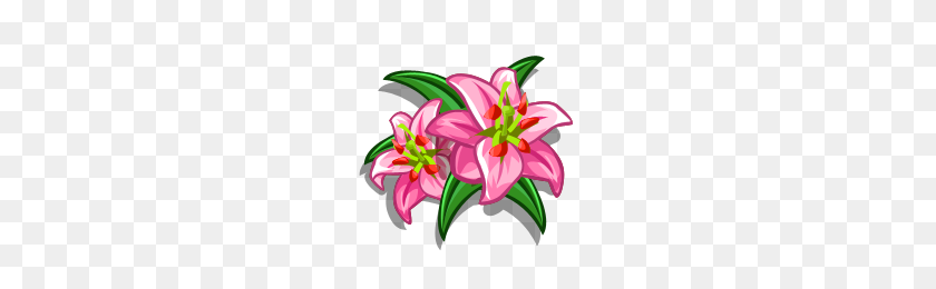 200x200 Easter Lily Png - Lily PNG