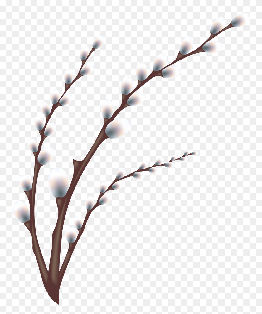 4940x6000 Easter Willow Tree Branch Transparent Png Clip Art Image - Willow Clip Art