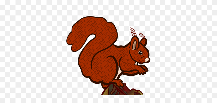 347x340 Eastern Gray Squirrel Drawing Tree Squirrel Red Squirrel Line Art - Free Squirrel Clipart