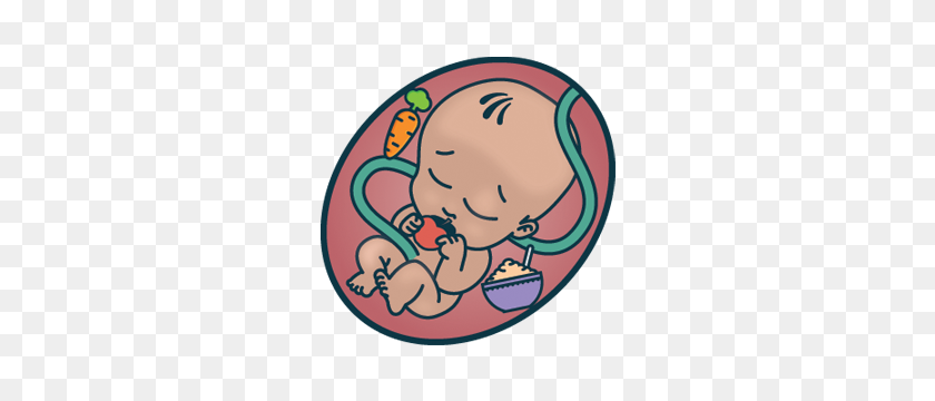 300x300 Eating Well In Pregnancy - Baby In Womb Clipart
