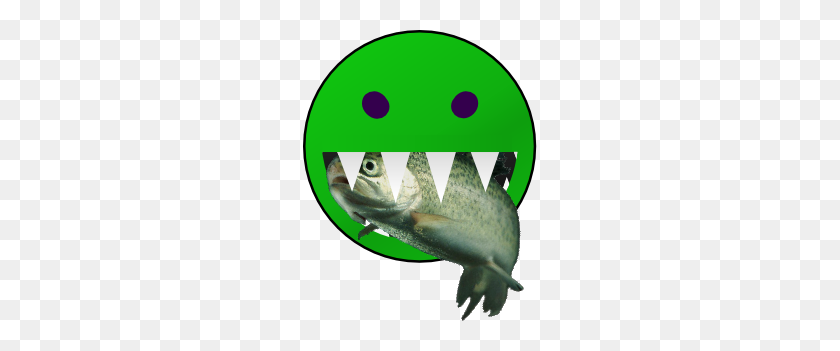 234x291 Eatingwettrout - Trout PNG