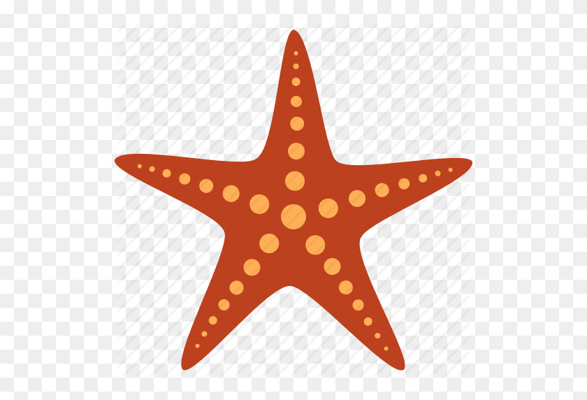 512x512 Иглокожие, Рыба, Морской, Красный, Море, Звезда, Значок Морская Звезда - Звездная Рыба Png