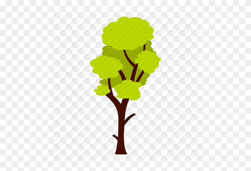 512x512 Eco, Ecology, Leaf, Nature, Summer, Tall, Tree Icon - Tall Tree PNG