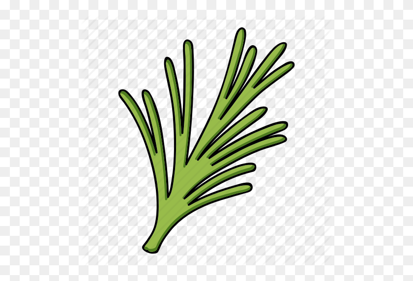 512x512 Eco, Food, Leaf, Plant, Rosemary, Seasoning, Spice Icon - Rosemary PNG