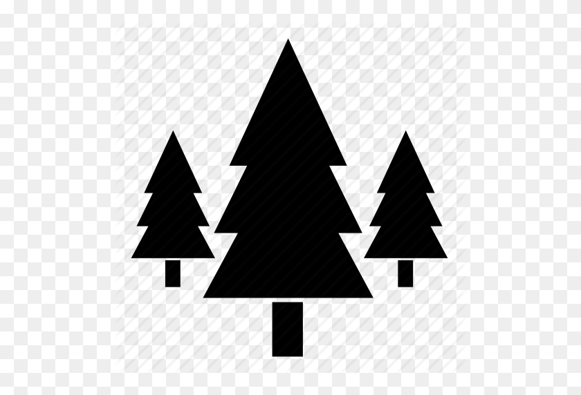 512x512 Eco, Forest, Forrest, Pine, Plant, Tree, Trees Icon - Forrest PNG