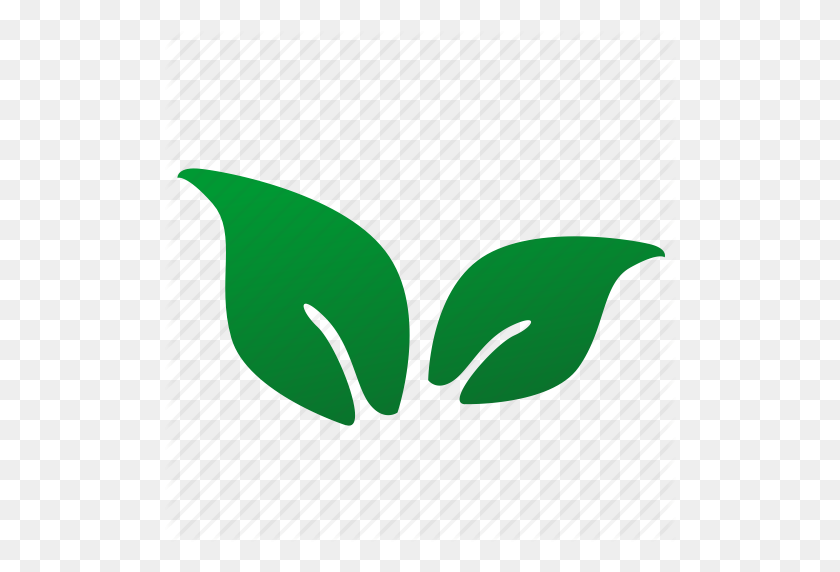512x512 Эко, Зеленый, Лист, Растение, Значок Чая - Клипарт С Чайным Листом