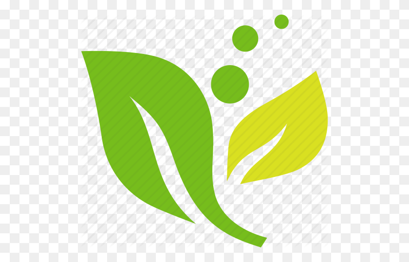 512x479 Экология, Окружающая Среда, Зеленый, Листья, Значок Растение - Значок Листа Png