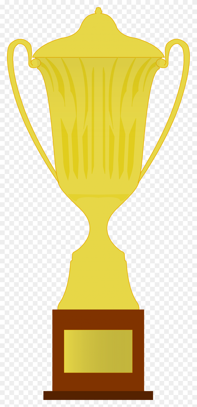 2000x4286 Ecuadorian Serie A Trophy - Trophies PNG
