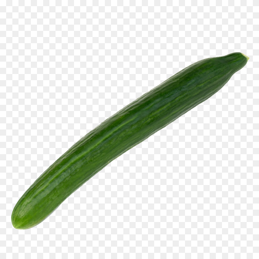 1024x1024 Edible Cucumber Transparent Vegetables Free Png Download Png - Cucumber PNG
