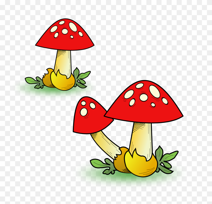 750x750 Edible Mushroom Common Mushroom Fungus True Morels - Morel Mushroom Clipart