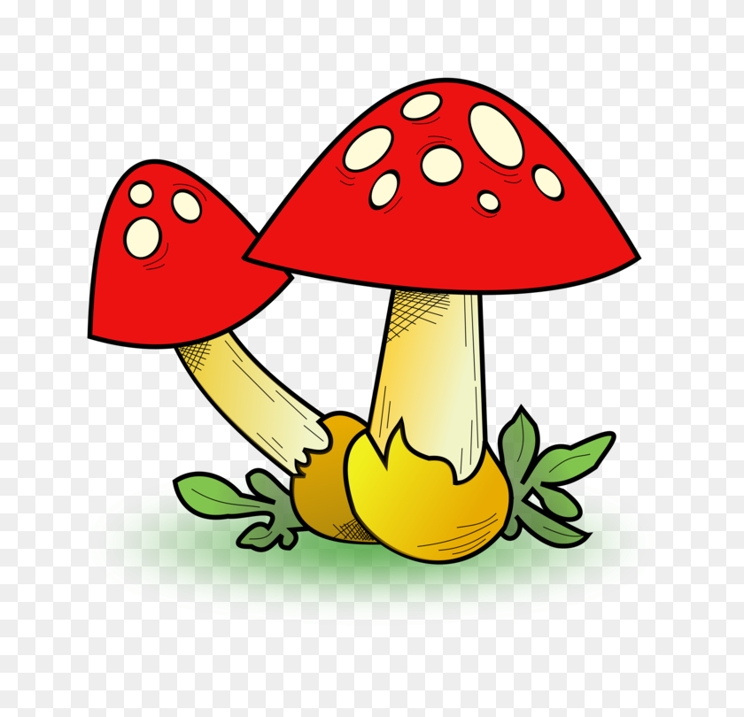 750x750 Edible Mushroom Fungus Computer Icons Morchella Elata Free - Fungi Clipart