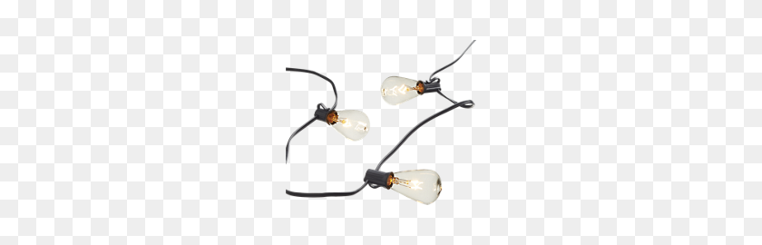 210x210 Edison String Lights From Cb Murph House Wants - String Light PNG