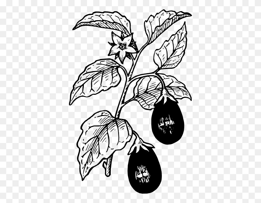 396x593 Eggplant Clip Art Free Vector - Fruits And Vegetables Clipart Black And White