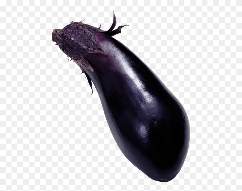 480x602 Eggplant Png - Eggplant PNG