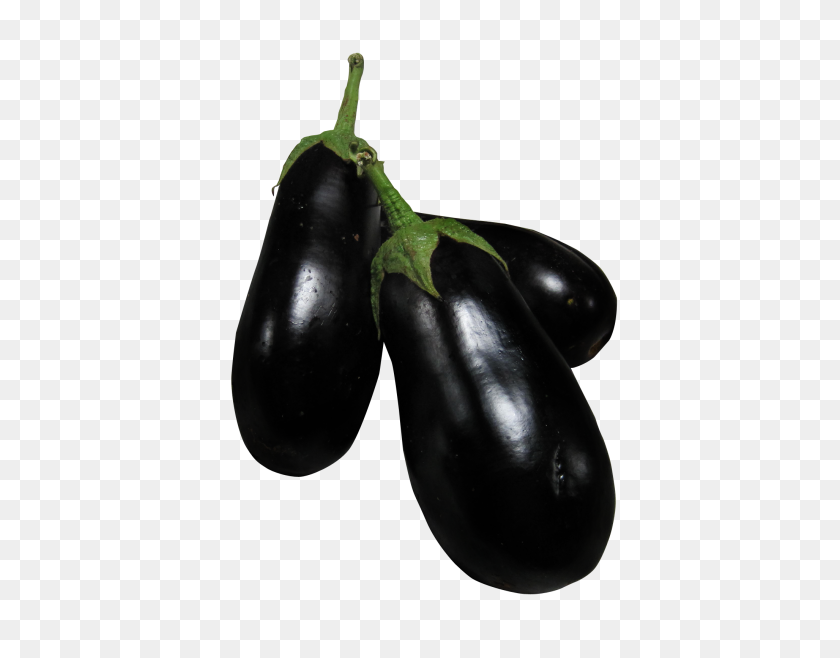 500x598 Eggplant Png Image - Eggplant PNG