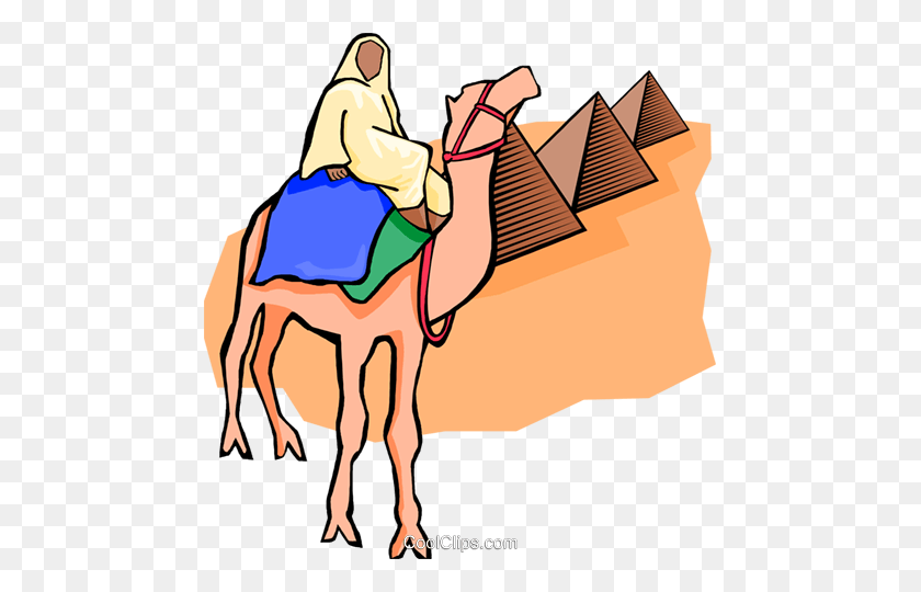 467x480 Egipcio En Camello, Pirámides Royalty Free Vector Clipart - Pirámide Egipcia Clipart