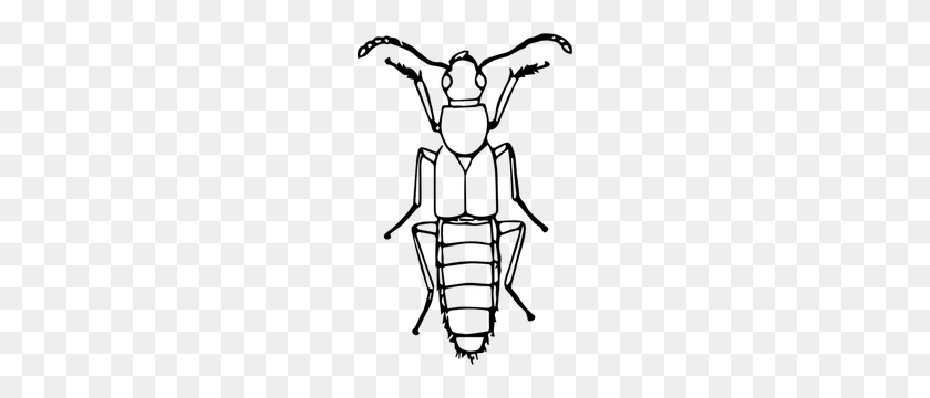 194x300 Imágenes Prediseñadas De Escarabajo Egipcio - Imágenes Prediseñadas De Escarabajo Escarabajo
