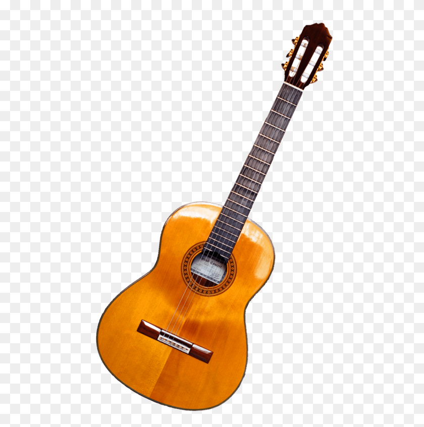481x786 Guitarra Eléctrica Png - Guitarra Eléctrica Png