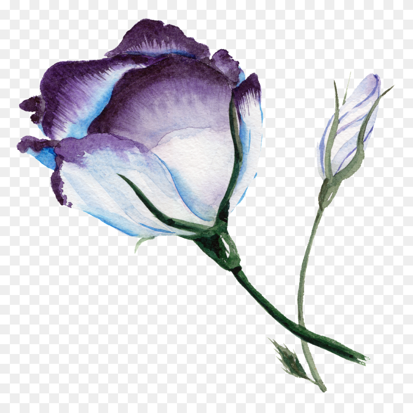 1024x1024 Elegant Creative Transparent Watercolor Flowers Free Png - PNG Watercolor Flowers