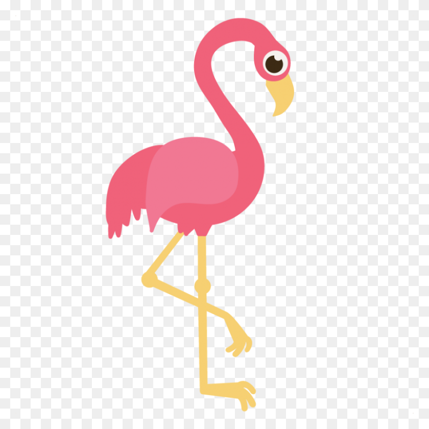 800x800 Elegant Pink Flamingo Clip Art Pinte - Tall Man Clipart