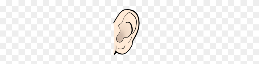 104x150 Elephant Ears Clipart Clip Art Ear - Elephant Ears Clipart