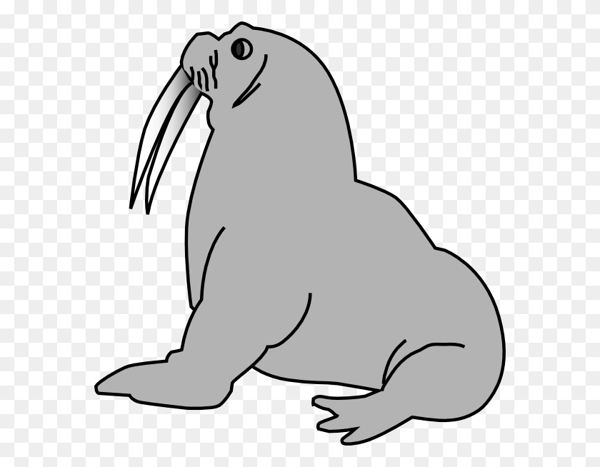 576x594 Elephant Seal Clipart Animated - Elephant Trunk Clipart