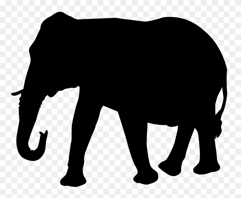 8000x6490 Elephant Silhouette Clipart Transparant Background - Towing Clipart