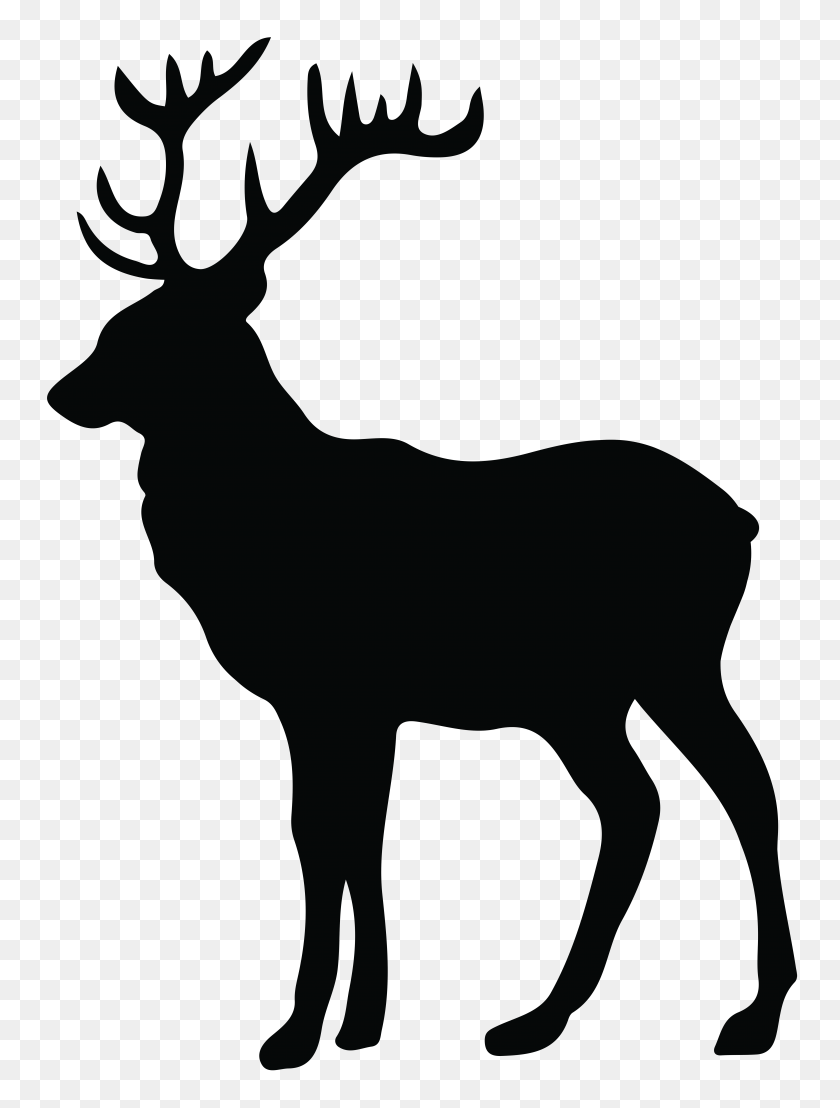5953x8000 Elk Antler Clip Art Freeuse Stock Huge Freebie Download - Reindeer Antlers Clipart