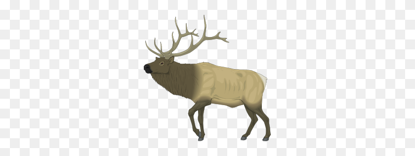 257x256 Elk Clip Art - Deer Head Clipart