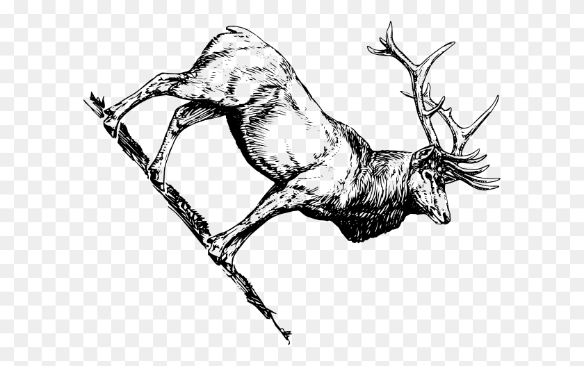 600x467 Elk Clip Art - Deer Skull Clipart