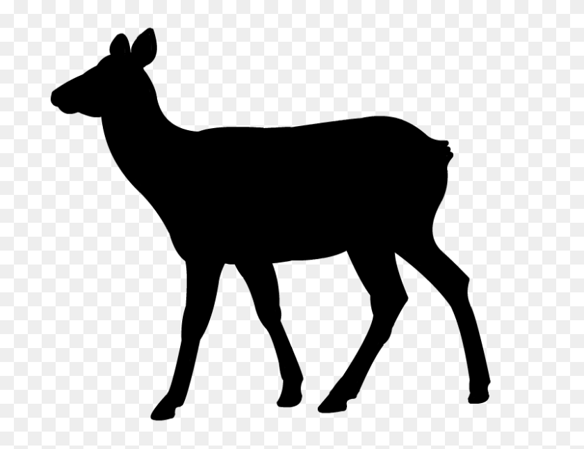 800x600 Elk Clipart Elk Head - Elk Head Clip Art