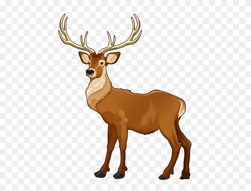 480x582 Elk Png Art Png - Elk PNG