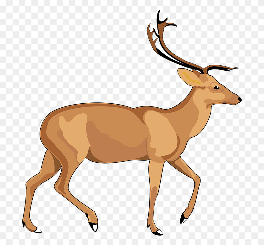 698x720 Elk Png Free Pic - Elk PNG